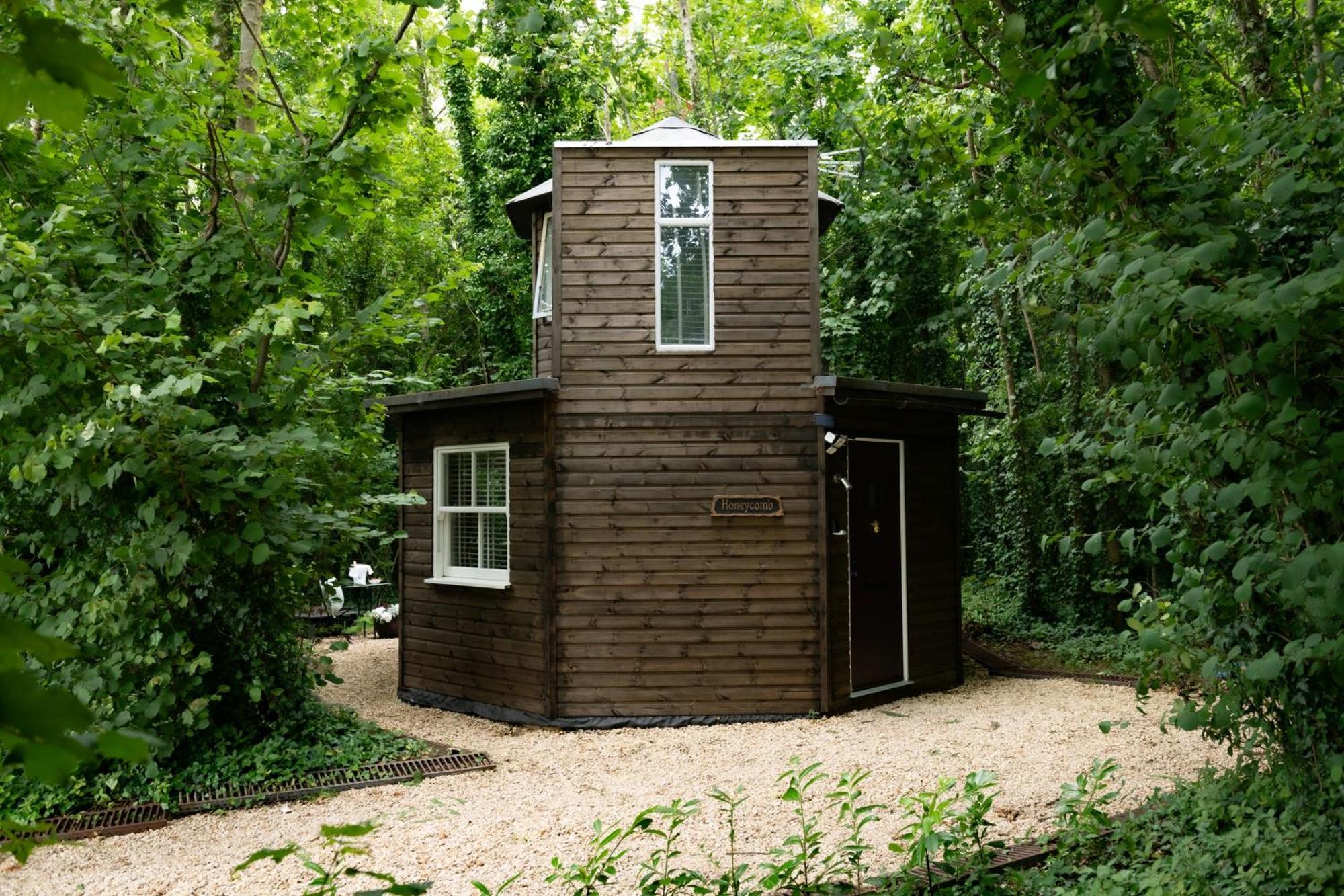 Villa Honeycombe - Treehouse In The Heart Of Dorset à Blandford Forum Extérieur photo
